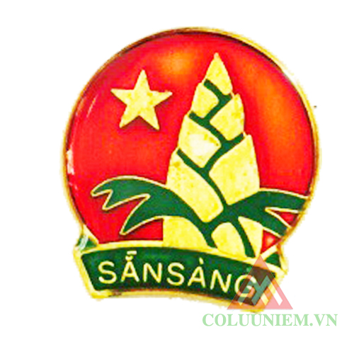 Em Nguyễn Ngọc Mai An - gương sáng Đội viên trường Tiểu học Tân Định